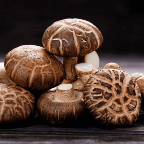 Shiitake-mushrooms-900x774